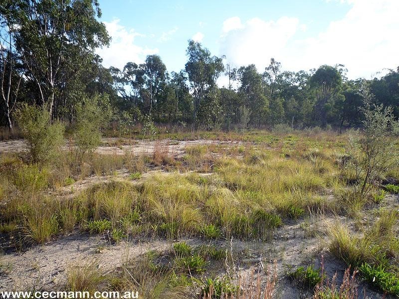 Lot 1 Horans Gorge Road, Ballandean QLD 4382
