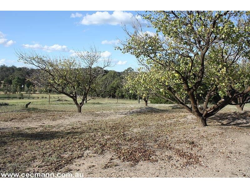 52 Tunnel Road, Stanthorpe QLD 4380