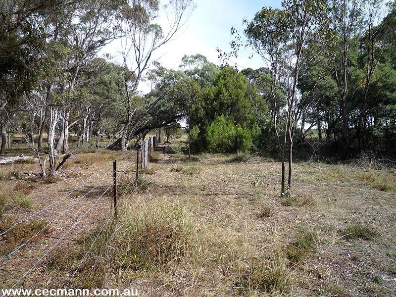 140 Hutchisons Lane, Cottonvale QLD 4375