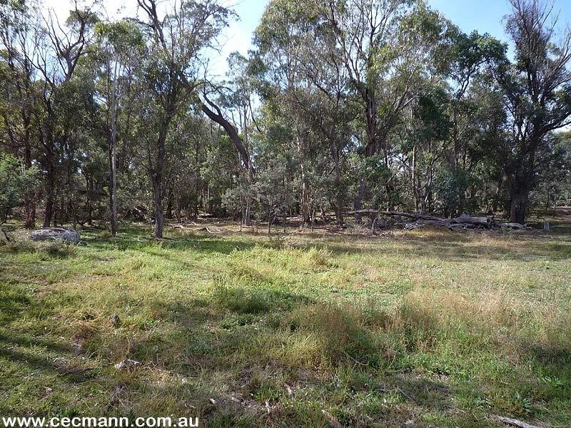 140 Hutchisons Lane, Cottonvale QLD 4375
