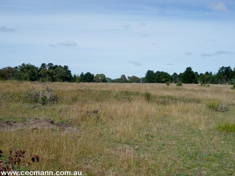 140 Hutchisons Lane, Cottonvale QLD 4375