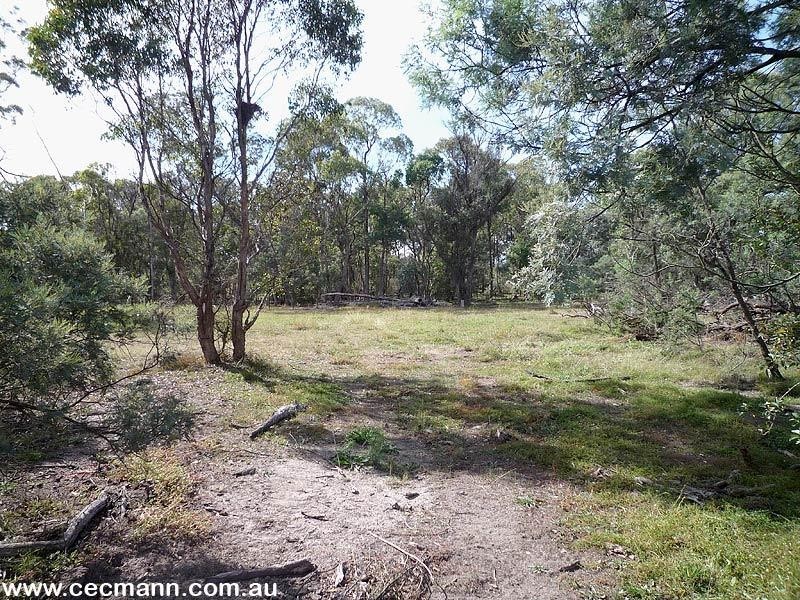 140 Hutchisons Lane, Cottonvale QLD 4375
