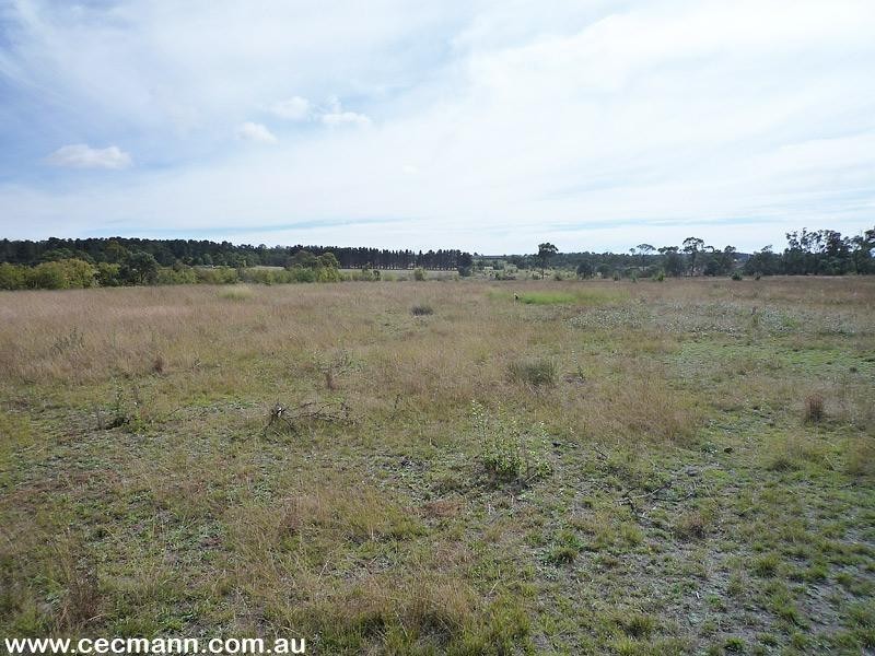 140 Hutchisons Lane, Cottonvale QLD 4375
