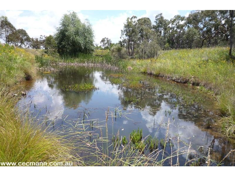 Lot 11 New England Highway, Severnlea QLD 4352