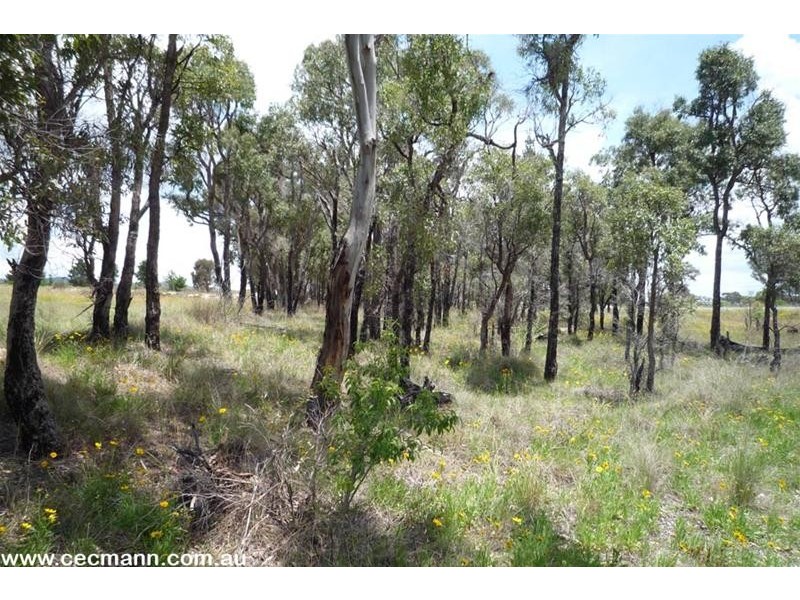 Lot 11 New England Highway, Severnlea QLD 4352