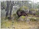 3203 Mt Lindsay Highway, Stanthorpe QLD 4380