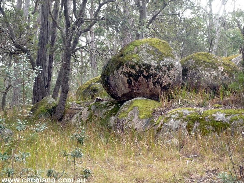 3203 Mt Lindsay Highway, Stanthorpe QLD 4380