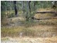 3203 Mt Lindsay Highway, Stanthorpe QLD 4380