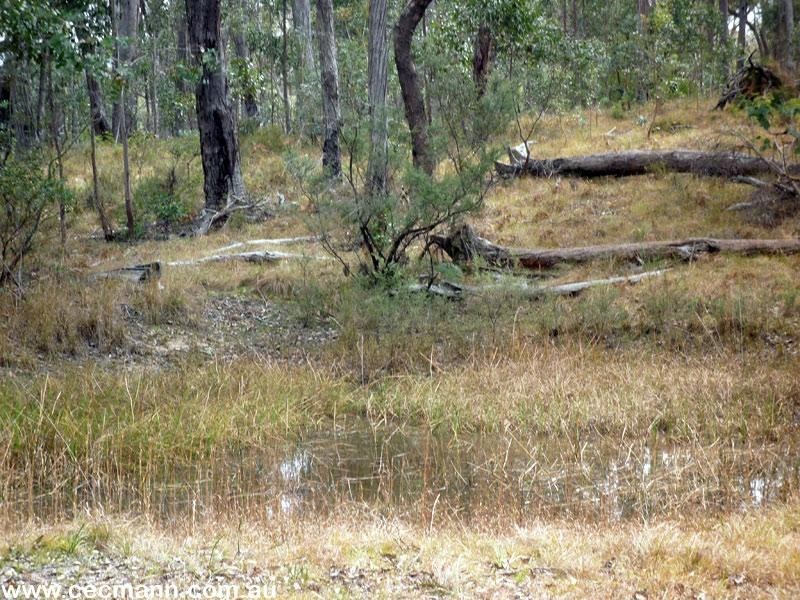 3203 Mt Lindsay Highway, Stanthorpe QLD 4380