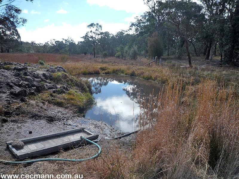 3203 Mt Lindsay Highway, Stanthorpe QLD 4380
