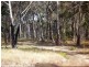 3203 Mt Lindsay Highway, Stanthorpe QLD 4380