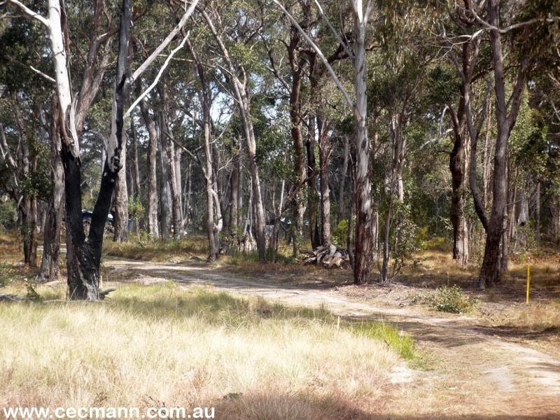 3203 Mt Lindsay Highway, Stanthorpe QLD 4380