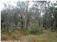 3203 Mt Lindsay Highway, Stanthorpe QLD 4380