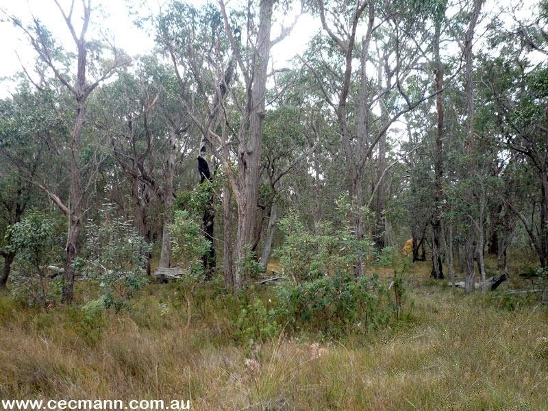 3203 Mt Lindsay Highway, Stanthorpe QLD 4380