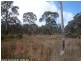 3203 Mt Lindsay Highway, Stanthorpe QLD 4380