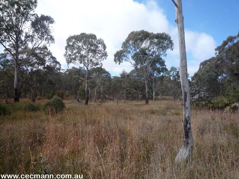 3203 Mt Lindsay Highway, Stanthorpe QLD 4380