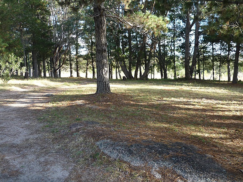 38 Nicholson Road, Stanthorpe QLD 4380