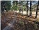 38 Nicholson Road, Stanthorpe QLD 4380