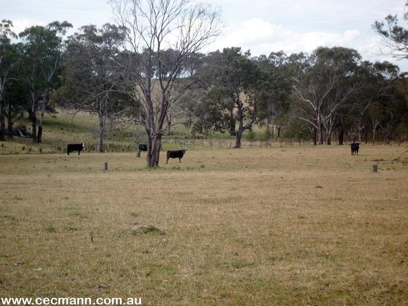 36 Tenterfield Street, Stanthorpe QLD 4380