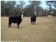 36 Tenterfield Street, Stanthorpe QLD 4380