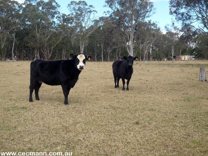 36 Tenterfield Street, Stanthorpe QLD 4380