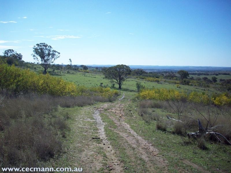 Springdale Road, Springdale QLD 4380