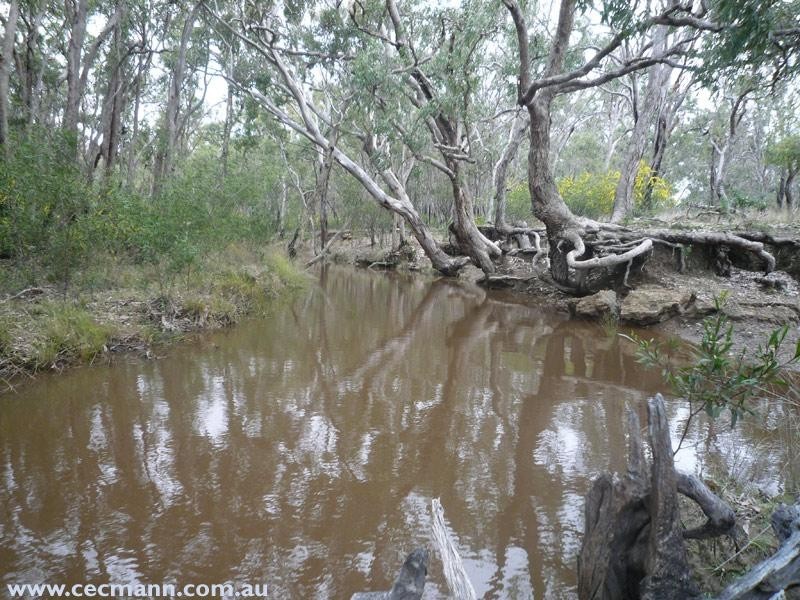 Springdale Road, Springdale QLD 4380