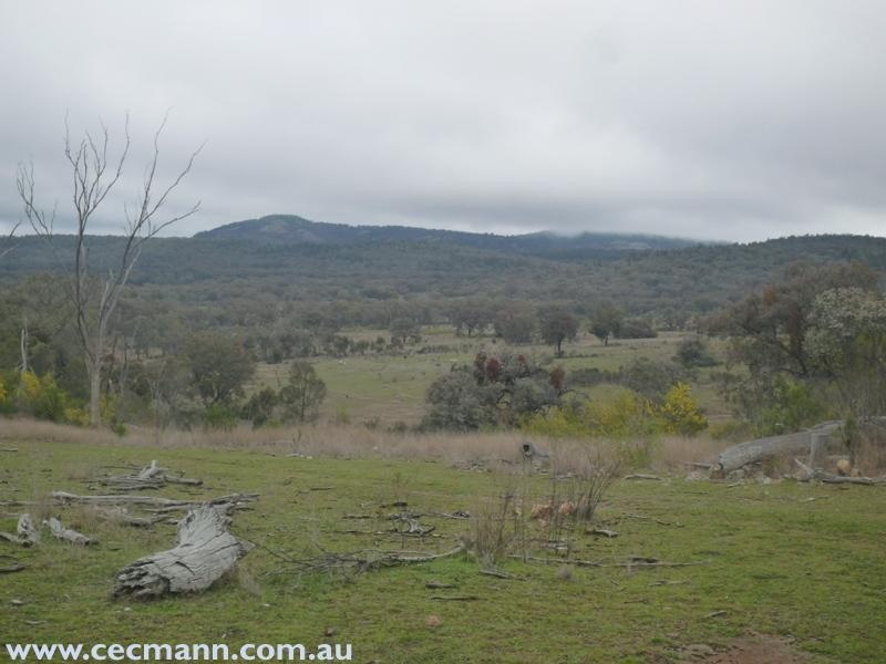 Springdale Road, Springdale QLD 4380