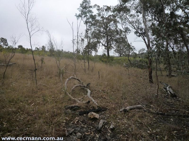 Springdale Road, Springdale QLD 4380