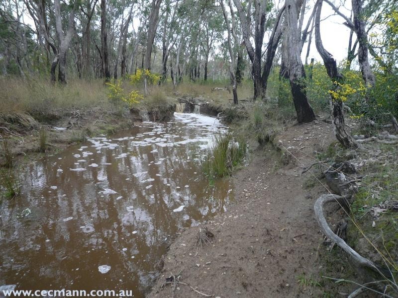 Springdale Road, Springdale QLD 4380