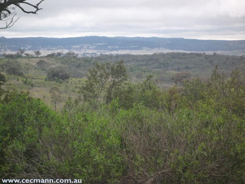 Springdale Road, Springdale QLD 4380