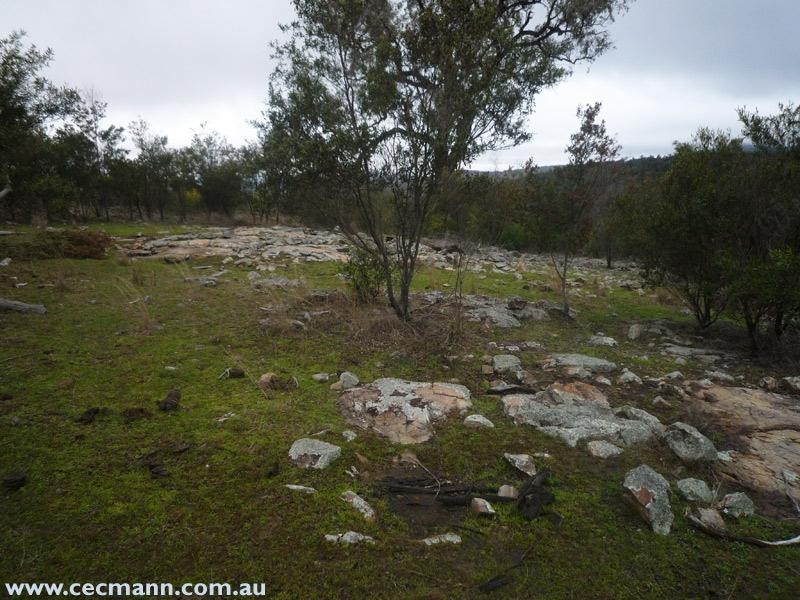 Springdale Road, Springdale QLD 4380