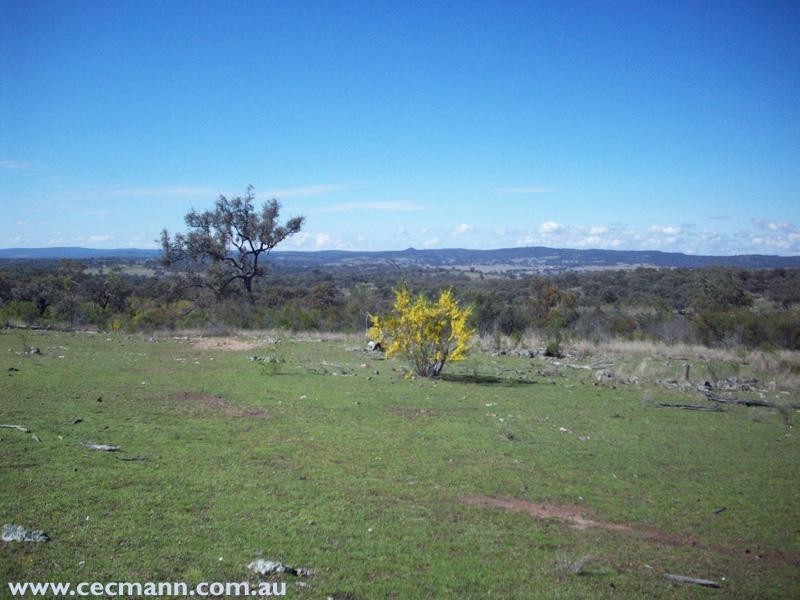 Springdale Road, Springdale QLD 4380