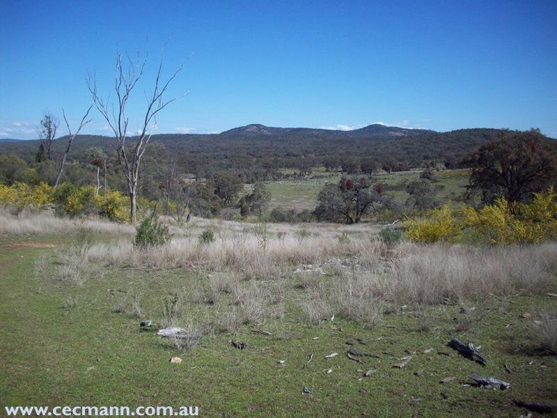 Springdale Road, Springdale QLD 4380