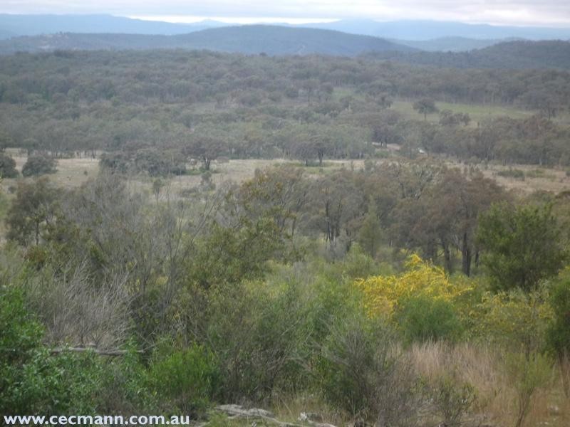 Springdale Road, Springdale QLD 4380