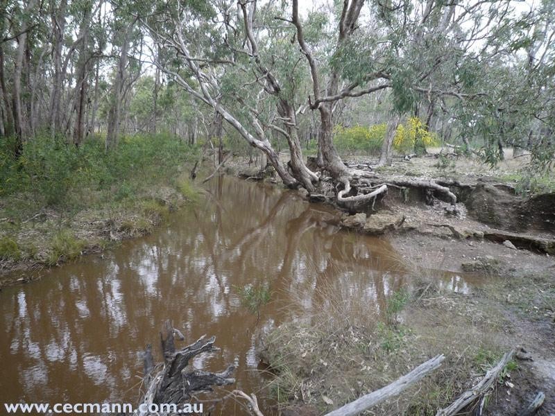 Springdale Road, Springdale QLD 4380