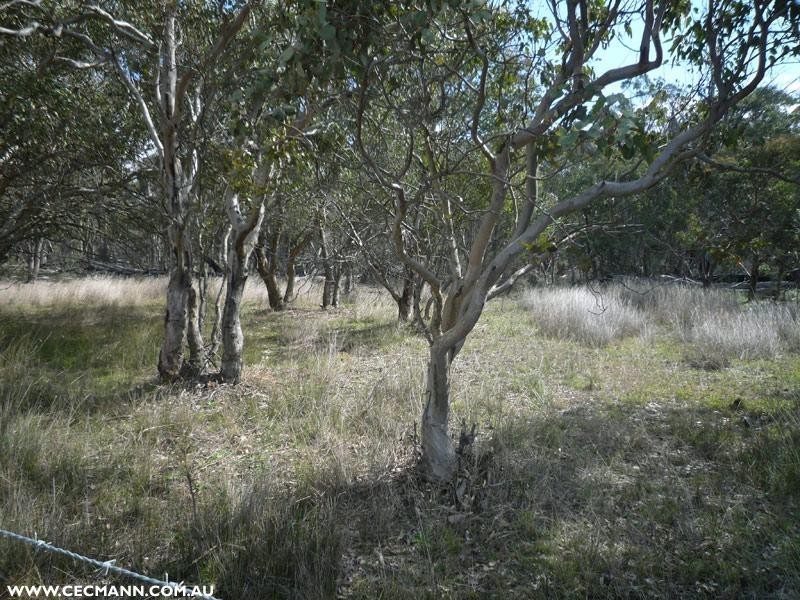 Lot 1 Mt Hutton Road, Greenlands QLD 4380