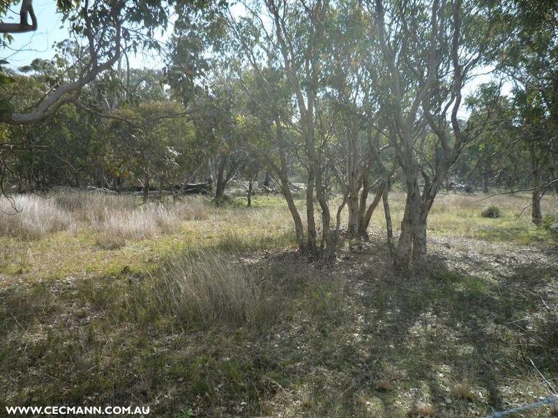 Lot 1 Mt Hutton Road, Greenlands QLD 4380