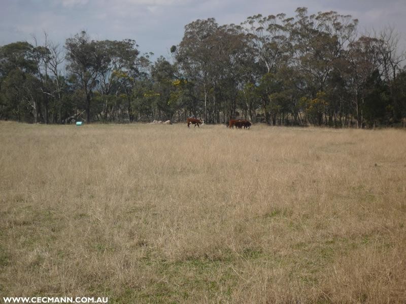 Lot 1 Mt Hutton Road, Greenlands QLD 4380