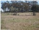 Lot 1 Mt Hutton Road, Greenlands QLD 4380