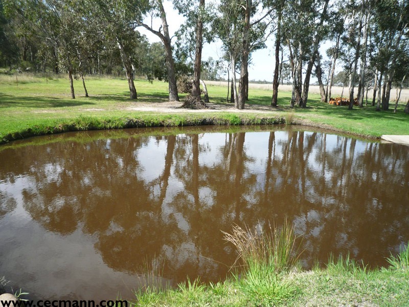 410 Old Warwick Road, Stanthorpe QLD 4380