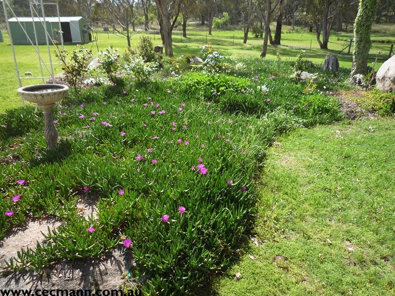 410 Old Warwick Road, Stanthorpe QLD 4380