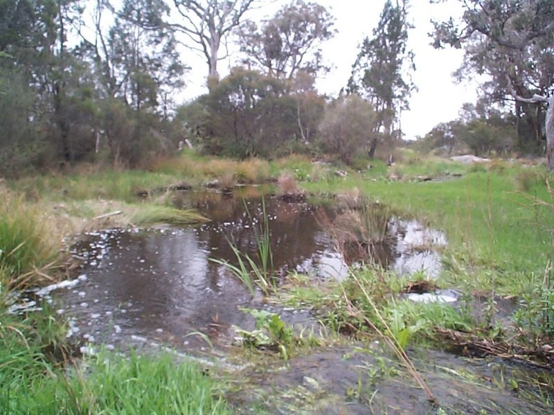 Lot 2 Kelly Road, Applethorpe QLD 4378