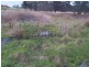 Lot 4 Kelly Road, Applethorpe QLD 4378