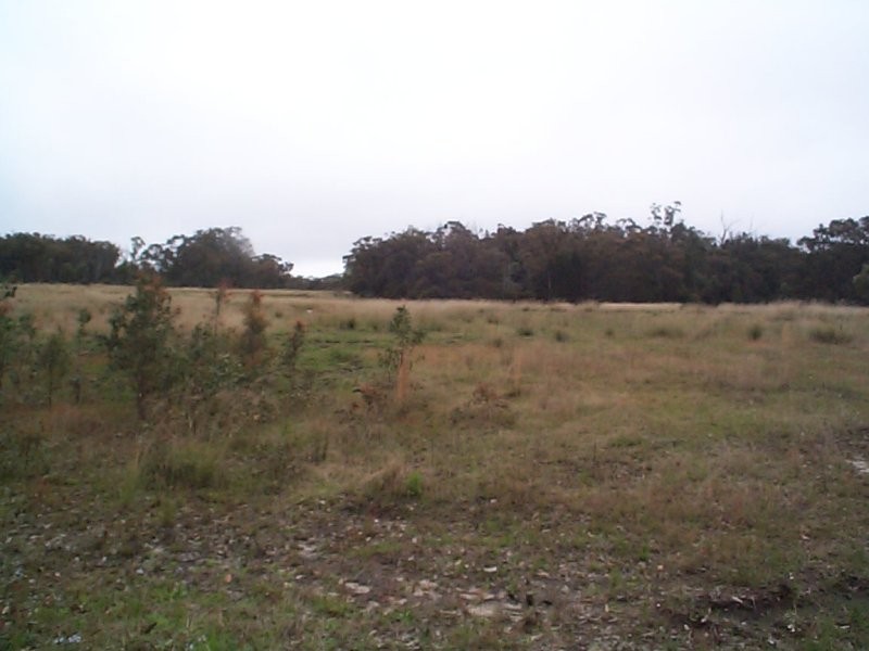 0 Allen Lane, Applethorpe QLD 4378