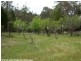 113 Minuti Lane, Stanthorpe QLD 4380