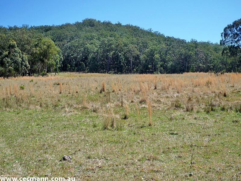 161 Cullendore Road, Stanthorpe QLD 4380