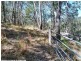161 Cullendore Road, Stanthorpe QLD 4380
