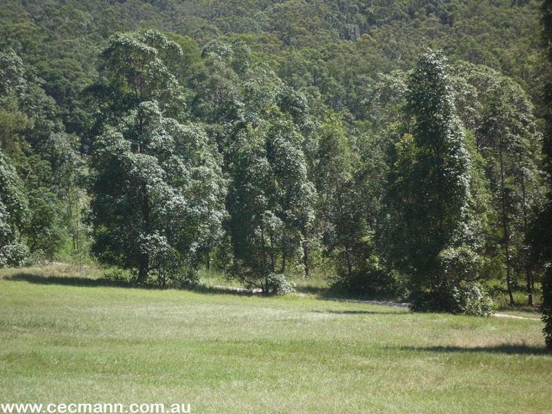 161 Cullendore Road, Stanthorpe QLD 4380