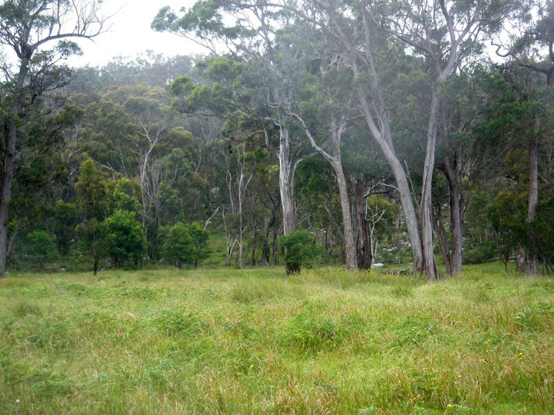 190 McKechnie Road, Stanthorpe QLD 4380